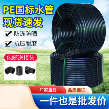 peԁˮ420ˮ 25 32ˮˮܟӲ