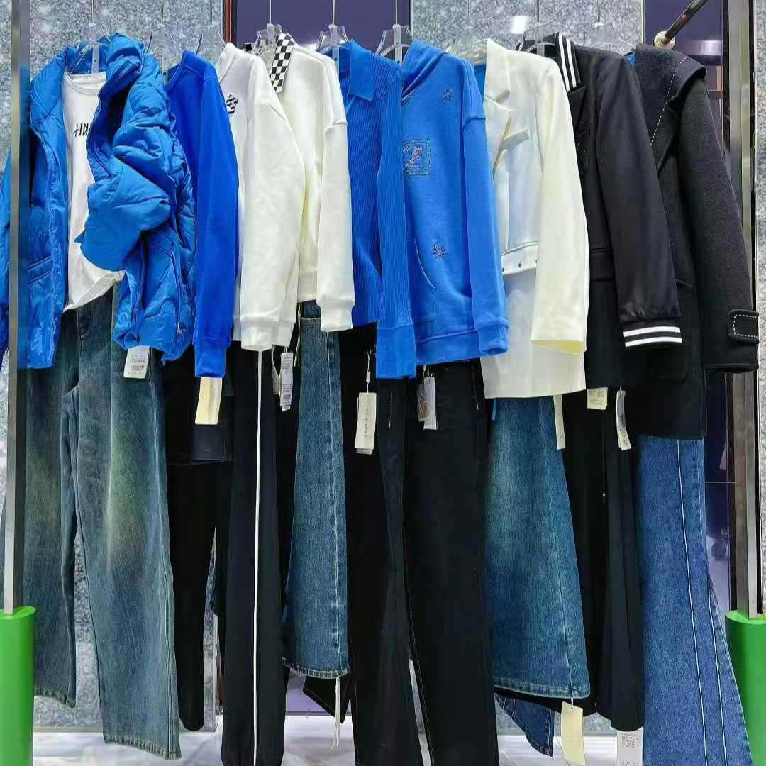 LINE SOUL领秀高端大码女装25秋冬时尚简约精致加厚外套专柜撤柜