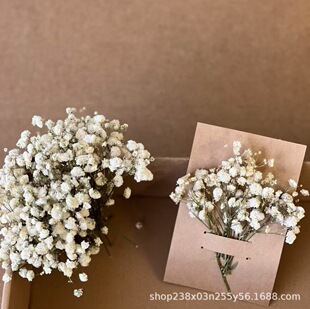 ��ϸɻ��滨�ֹ������M���ǲ��Ϲ����bY��羳���N�S�����l��