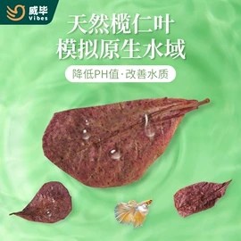 鸟笼;其他小宠用品;鸟食