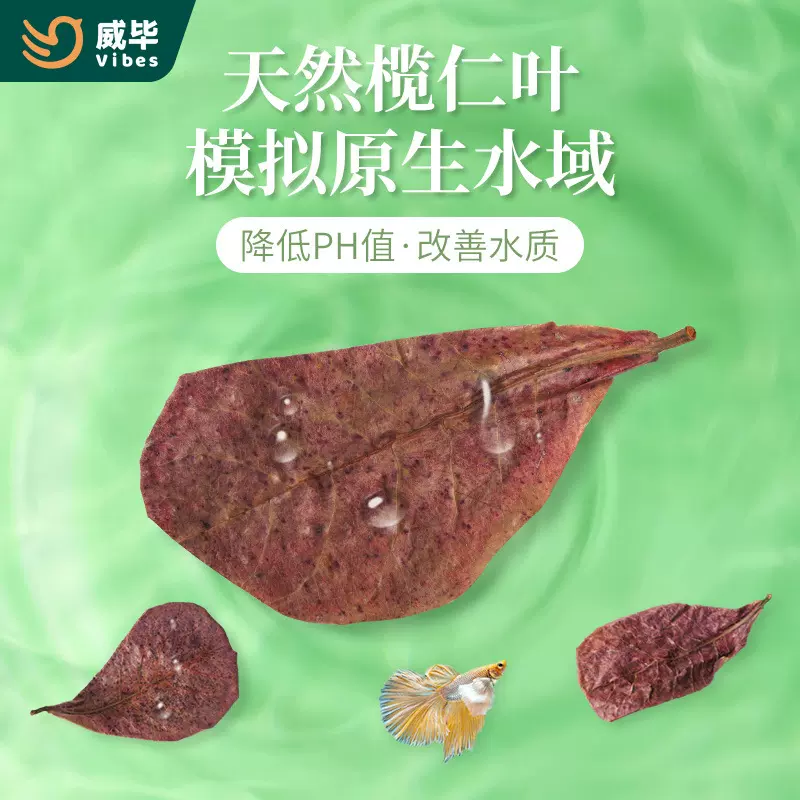 榄仁叶降酸调节Ph值水族橄榄叶龙眼叶造景懒人叶斗鱼乌龟稳定水质