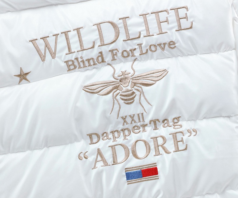 Venta al por mayor en el extranjero invierno nuevos hombres collar abajo Chaqueta de algodón acolchado abeja bordado moda delgada Chaqueta de algodón acolchado casual