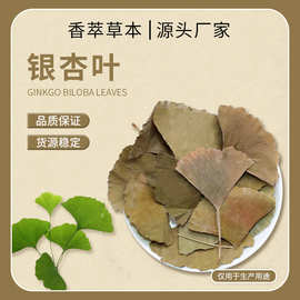 定制中药材批发天然银杏叶装泡茶泡水冲饮厂家精选干货嫩银杏叶