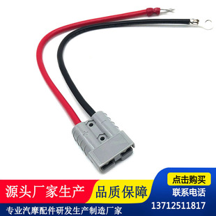50A600V applicable to Anderson battery bipolar plug 8AWG long 50CM tail wiring nose SC10-8 * 2