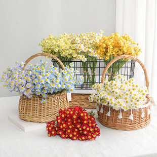 Cream fresh white chamomile, internet celebrity