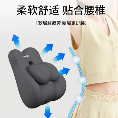 Lumbar Support Cushion — Waist support