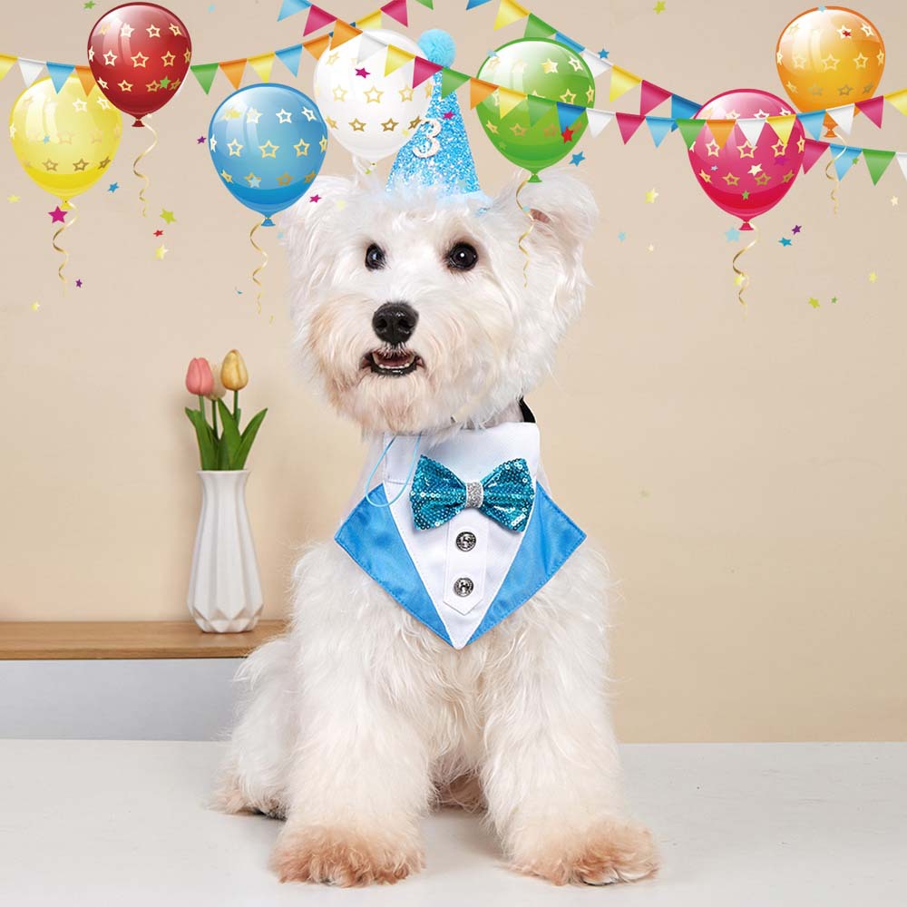 Nuevos productos transfronterizos para mascotas decoración de fiesta de cumpleaños para perros sombreros de cumpleaños para mascotas toallas de cumpleaños set para gatos
