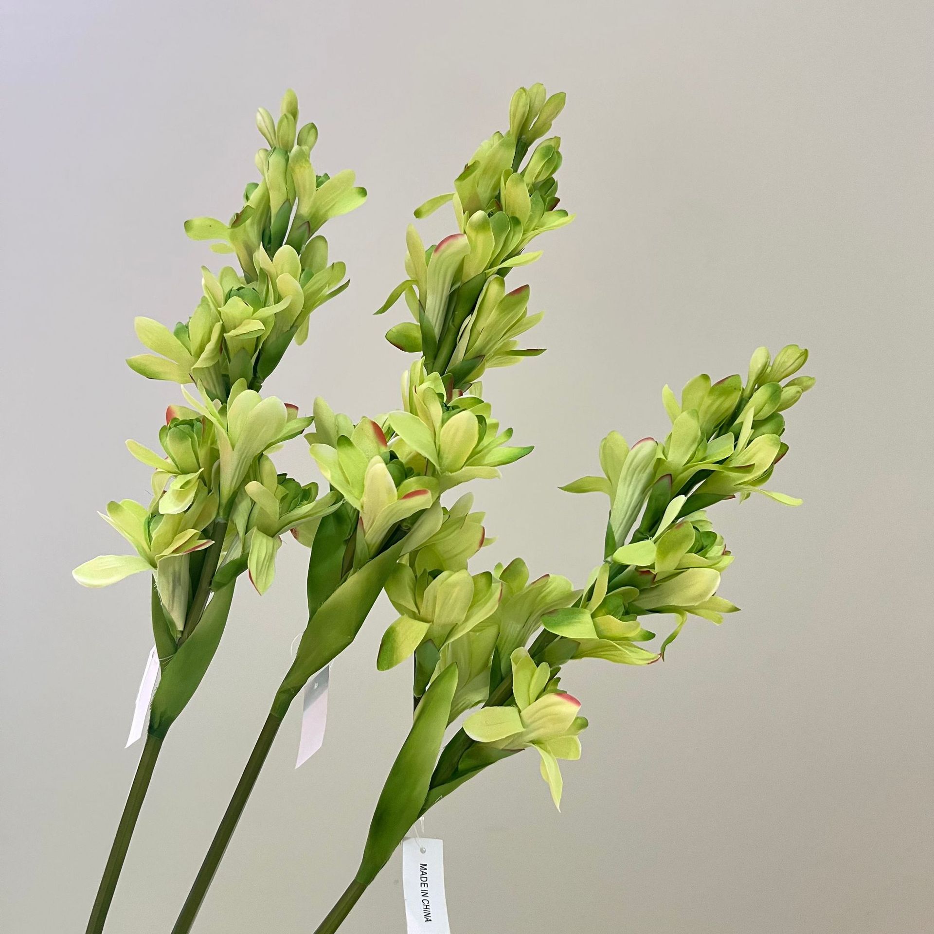 WeChat picture_20240613163338.jpg