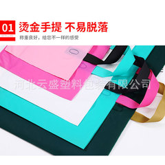 Wholesale thickened gift shop clothing bags with logo printing for fashion accessories shopping tote bags
