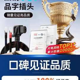 品字插头换电转接外卖电动车锂电池小哈10平公母大功率连接电源线
