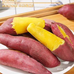 2025�����R����ĿɽС�����t�����r�r���ԷN���������ع�5��