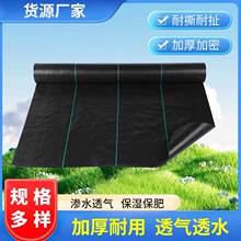 加工定制黑色除草布园艺地布防草布农用果园大棚抑草布透气编织布