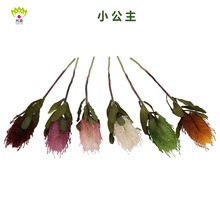 �S�����l�������滨�羳؛Դ���Wʽ���ľ��������c��Y�üٻ�