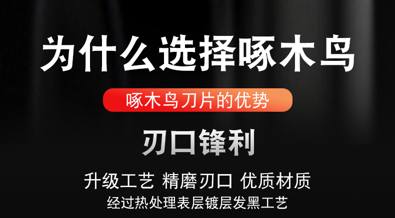 总_04.jpg