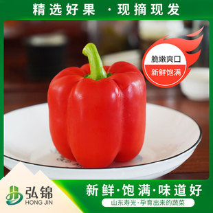 �����Fժ���������֭�����Ե�֬�����A���r�߲� �t�ʽ�