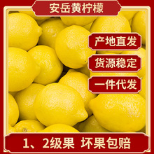 四川安岳檸檬鮮果批發當季12級新鮮水果產地直發尤力克黃檸檬代發