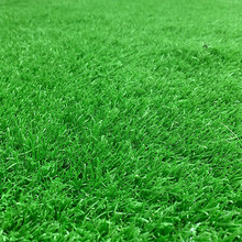 ��������ƺ�׃��@�ܵ������Θ��@�WУ�و������Ƥ�\�ӈ�����