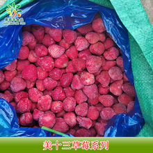 加工定制冷凍美十三草莓果 草莓丁 速凍水果廠家批發