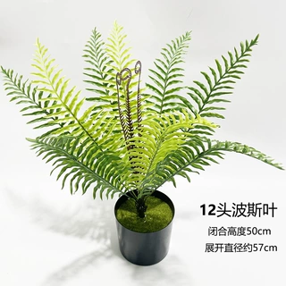 亚马逊仿真绿植蕨类绿植假花12头波斯叶植物墙配材装饰把束造景草