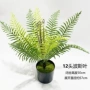 仿真蕨类造景假花