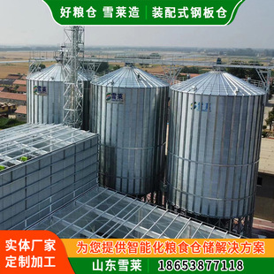 粮食钢板仓 装配式新型粮仓 不锈钢防潮玉米小麦水稻立体圆筒仓-阿里巴巴
