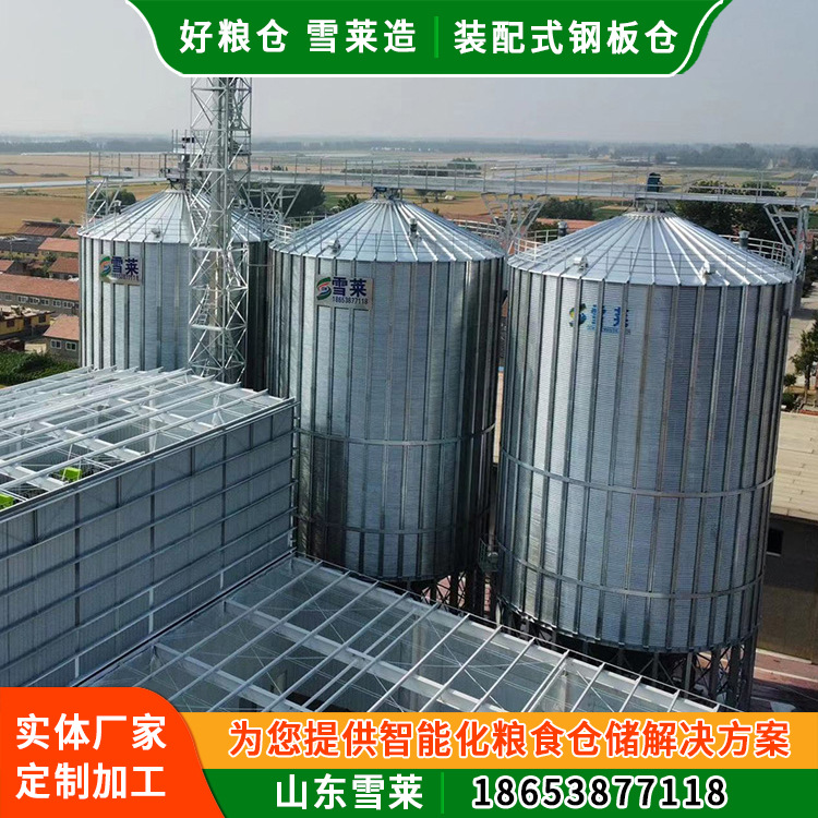 500吨饲料钢板仓 成品散装仓 镀锌钢板仓 占地少成本低 雪莱粮仓