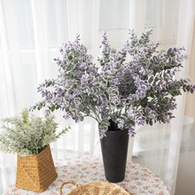 ���滨�ȼ������X�~��������c�Ҿӻ����Gֲ�zӰ�����羳GF15769B