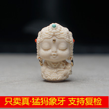 ��Ȼ�ͪw������̼� ����׾G��ĸ������ �ְѼ� DIY����С���