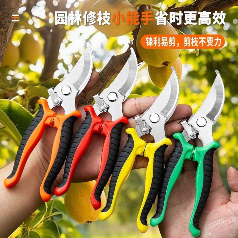 批发园艺剪园林翦修枝剪刀弯头家用剪刀摘果剪不锈钢园林工具剪子