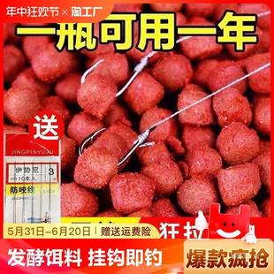 Wild angler fishing bait crucian carp grass carp tilapia black carp black pit kill fish feed directly hook particles