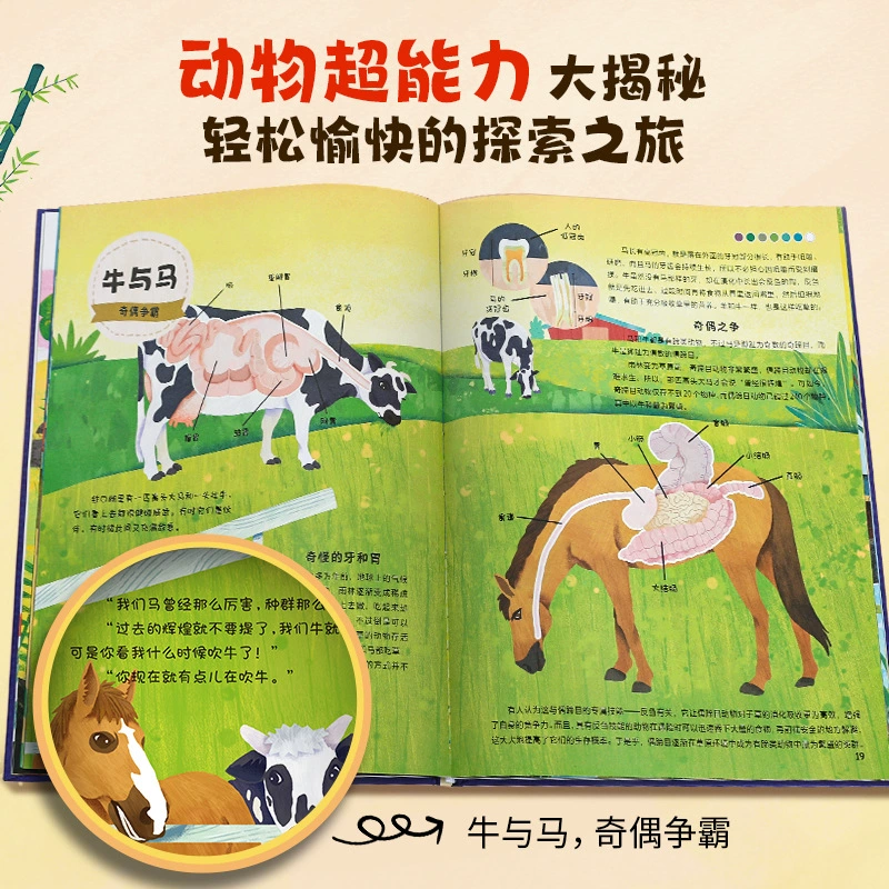 Учебник по животным: научно-познавательная книга для детей. Животное в учебнике. Пришел доктор Чэнь Жуи 3-6
