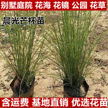 ����â���ݱ�����繫�@���~â��Ȕ�JȔ�������ͺ��͟��޸��^�p��