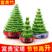 �����߸��F��ˮ��ֲ���D�\��Gֲ����ˮ�B�k�����������w�辰�[��