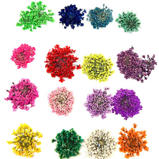 small size Lace Dried Flower Embossed Baffle Nail Art Lace Flower Dried Flower DIY Glue Dropping Necklace Pendant Snow Bead Flower Baffle