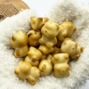 Ivory Fruit【Grilled Bear】single