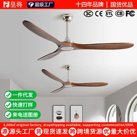 风扇灯;电风扇;吊扇