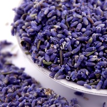 薰衣草干花粒助眠填充物散装香包枕头香薰天然熏衣草精油新疆伊犁