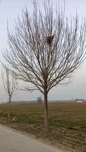 �G��������ľֱ�l ���D���� �е��� ���|��Ϟ�� Ʒ�NҎ��ȫ�r��