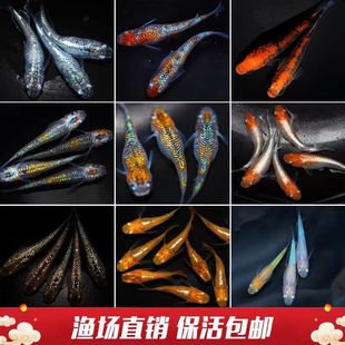 �^�����F��ˮ�~�^�p�~ħ���~��ˮ�~С�\�����~���w������B����]