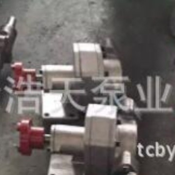 不锈钢摆线转子泵TBB 高粘度转子泵 低噪音转子泵 食品转子泵