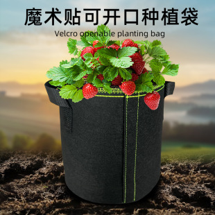 Forest Scene Side-Opening Magic Tape Green Edge Planting Bag, Eco-Friendly Nutrient Seedling Tree Planting Bag, Biodegradable Planting Bag