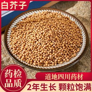 ��ș�İ׽��� ���׽��� ����� ������ 500�˳ɶ���ș�ĵ�