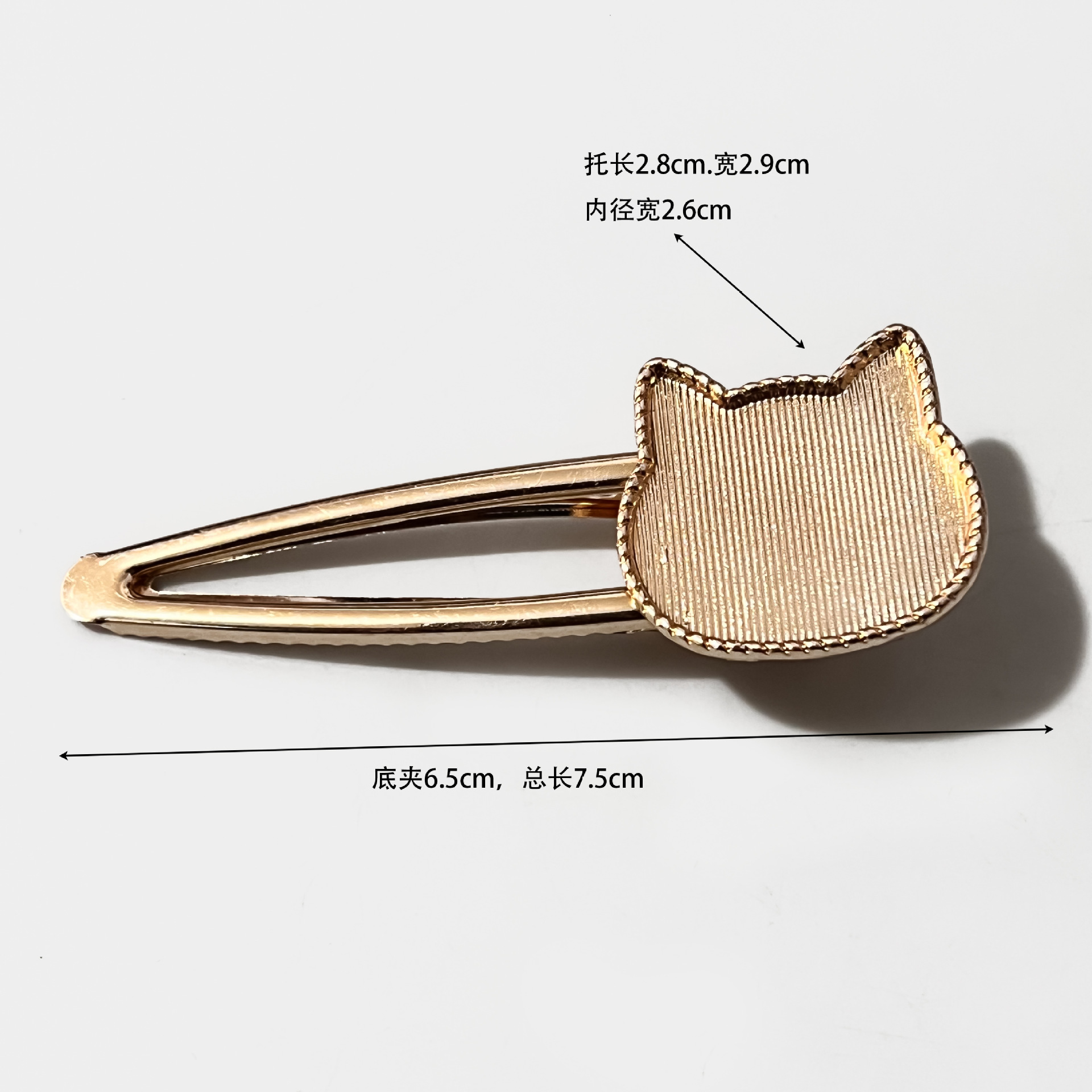 微信图片_20250315103850