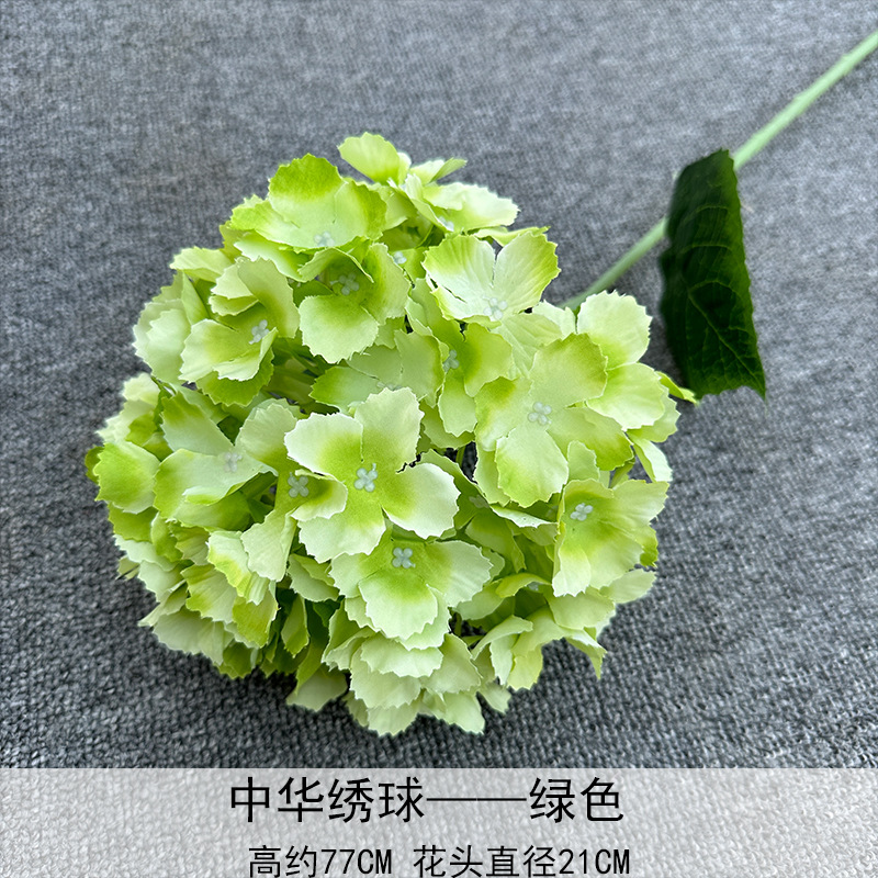 Hortensia China Verde