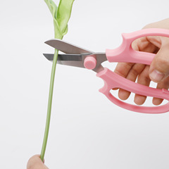 花藝修枝剪寬頭園藝剪鮮花插花剪刀修枝剪果樹剪刀園藝剪刀粗枝剪