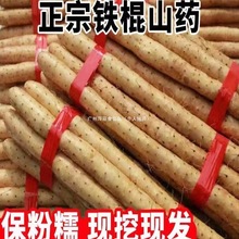 新鲜山药5斤装 铁棍山药河南焦作垆土怀山药铁杆淮山药包邮