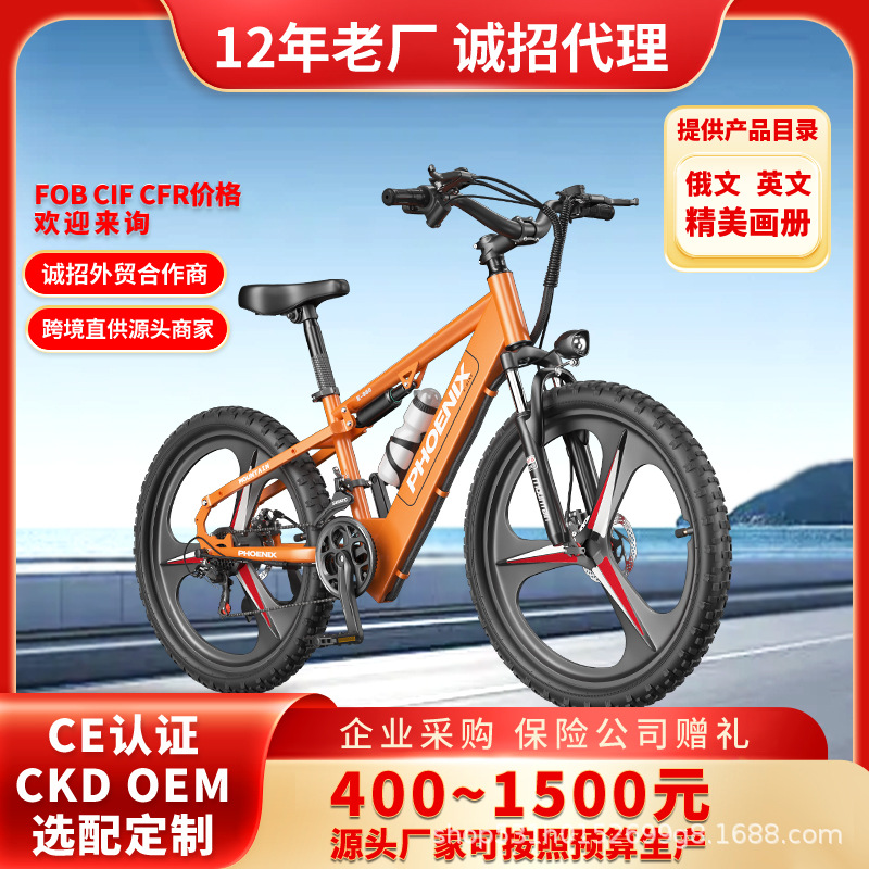 Bicicletas eléctricas asistidas por Phoenix Vehículo eléctrico masculino para mujeres Bicicletas eléctricas asistidas por litio Bicicletas de viaje