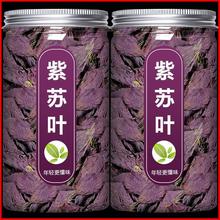 紫苏叶新鲜食用苏叶材茶粉商用泡澡鲜野香料草叶子干泡水湖南