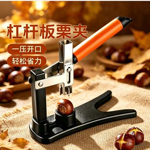 �����_�������������������քӄ����Cʮ�֊A��Ƥ�C���P��քӹ���
