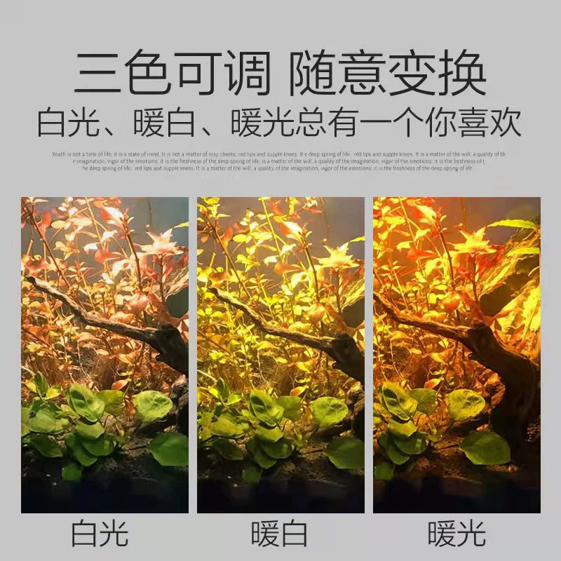 LED underwater ceiling light, aquarium, lights, plant lamp